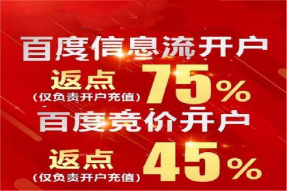 行业领先的SEM策略：成功案例与经验分享